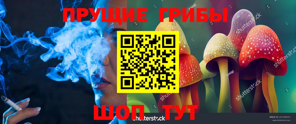 где можно купить наркотик  Вход с VPN  Моздок  Псилоцибиновые грибы ЛСД 